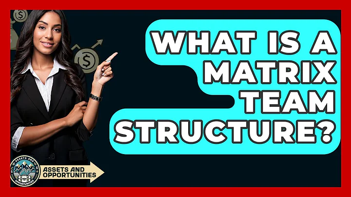 What Is A Matrix Team Structure? - AssetsandOpportunity.org