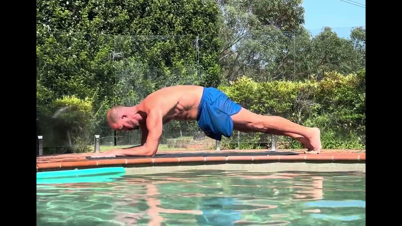 Dolphin POWER PULSES (Protractive shield Dynamic integration with static finisher 