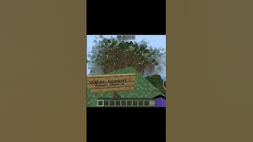 Minecraft NOOB vs PRO vs HACKER vs CHEATER: MLG Edition