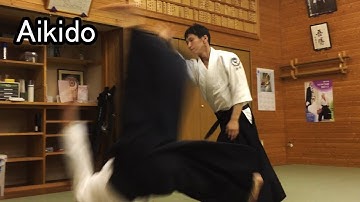 Aikido - JYU WAZA 合気道 自由技