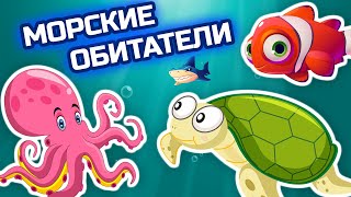 Удивительные Обитатели Морей И Океанов - Развивающие Мультики Про Животных Для Детей