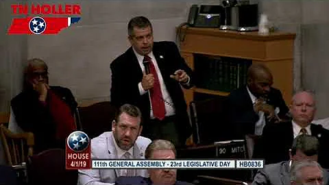 Anti-LGBTQ "License to Discriminate" Adoption Bill Passes House | TN Holler