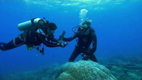 Coral paleoclimate research