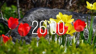 26 Minute Timer with Music | Spring Timer🌹