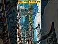 "এই প্রাণীর শক্তি দেখলে তুমিও অবাক হয়ে যাবে"🤯#bangla fact #wildlife #the cruelest animal farms 😱