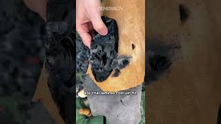 O objeto mais afiado do mundo é natural 🌋