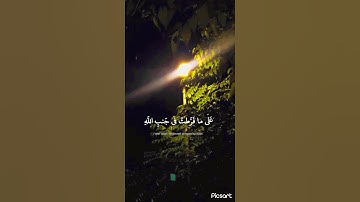 سورة الزمر|الشيخ محمد صديق المنشاوي