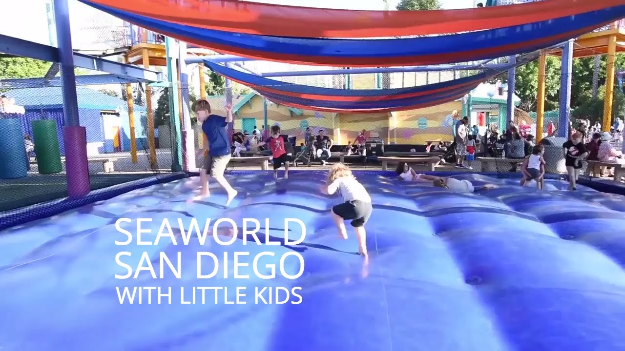What To See At Seaworld San Diego With Little Kids Youtube