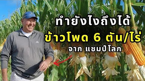 ทำยังไงให้ได้ข้าวโพด 6 ตันต่อไร่ จาก แชมป์โลก
