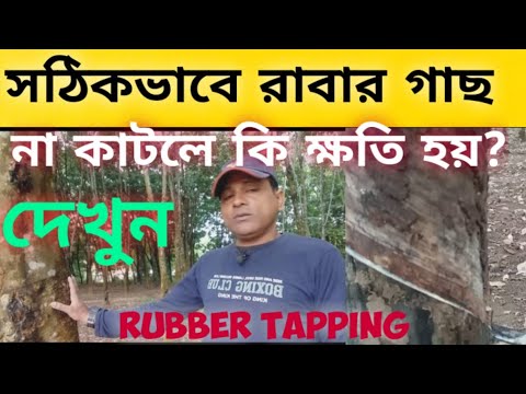 ভিডিও: পিবি ব্লাস্টার কি রাবারের জন্য খারাপ?