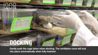 Disposable Cages: Docking/Undocking the Innocage