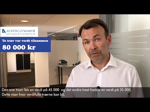 Video: Profesjonell Felling Av Vanskelige Og Farlige Trær