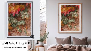 WALL ART PRINTS - AUTUMN COLOR LEAVES