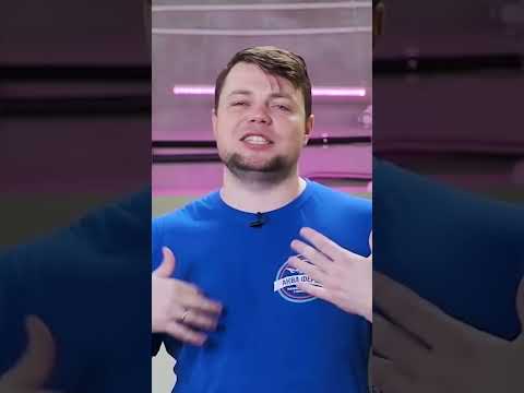 Как быстро растет карп?