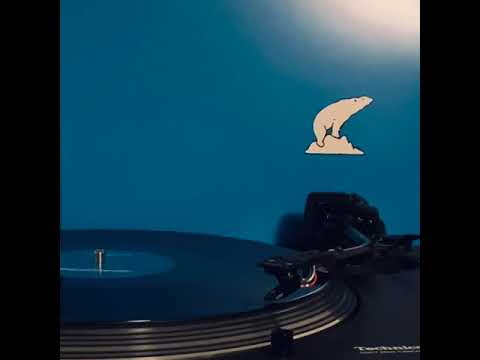 Grauzone - Eisbär (Digital Hardware Favorits)