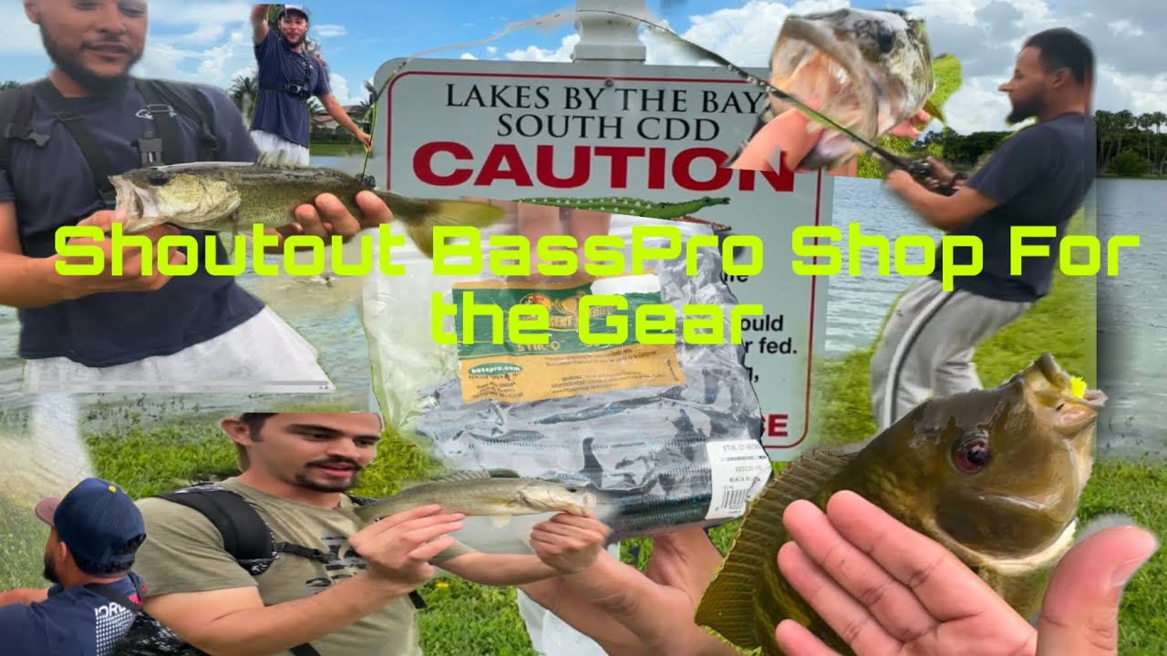 Bass Fishing With Bass Pro Gear