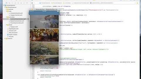 iOS Animation with Swift Customizing the Picture Gallery Data Source class 36