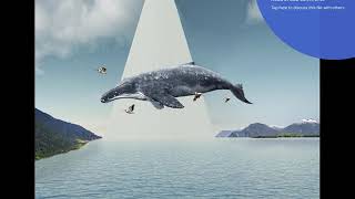 VADA Professional Portfolio screenshot 2