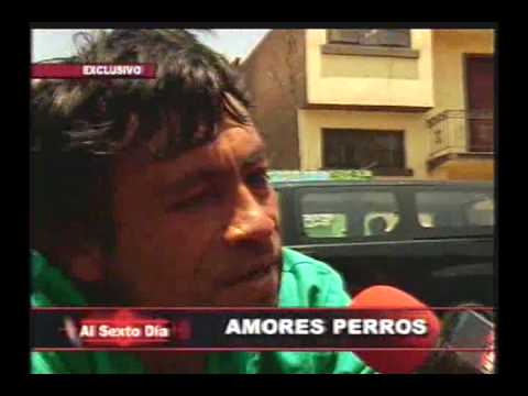 al sexto dia en vivo por internet Amores perros: la curiosa historia del bañador de canes Luis Cheve