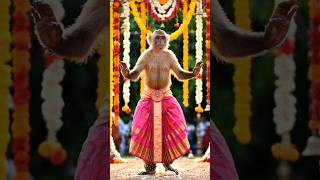 #viralshorts #monkeydance #sricharand #super #best #top #oh #amaze #performance #song #sort #dance