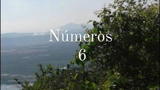 Números 6 - Nova Tradução na Linguagem de Hoje