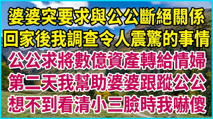 婆婆突要求與公公斷絕關係，回家後我調查令人震驚的事情，公公求將數億資產轉給情婦，第二天我幫助婆婆跟蹤公公，想不到看清小三臉時我嚇傻#生活經驗 #情感故事 #深夜淺讀 #幸福人生 #深夜淺談 #倫理故事 - 天天要聞