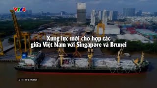 Xung lực mới cho hợp tác giữa Việt Nam với Singapore và Brunei | VTV4