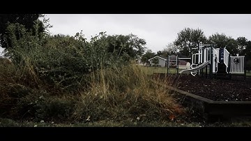 Ikan Beholder DS1 First Test