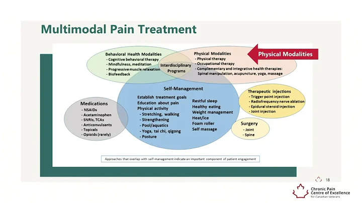 Dr. Dianne Flynn explains Multimodal Pain Treatment
