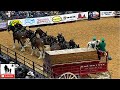 Clydesdale Wagon Team Mishap - 2019 WRCA World Championship Ranch Rodeo (Friday)