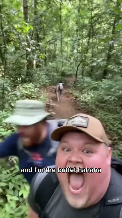 Chiupacabra encounter in Brazil forest 😱 #scary #funny #monster