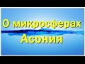 Микросферы Асония - Что внутри подушки Асония? / Наполнитель Асония