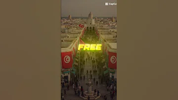 FREE FREE PALESTINE Love Music Palestine Tunisia 