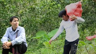 Ceo Toàn & Ly Tu Diem Almost But Not Quite When Will This Ever End?