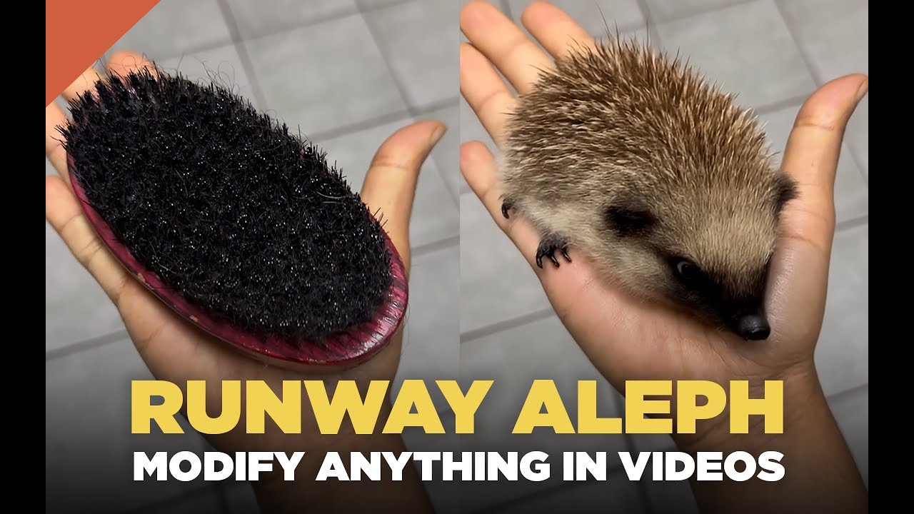 Runway Aleph - Modify Anything In Videos - 20 Creative Use Cases