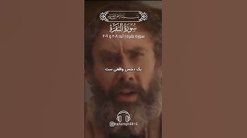💠سوره بقره آیات ۲۰۸ و ۲۰۹ با صدای زیبای استاد بهروز رضوی نیا💠 #آیات_قرآن #ایمان #ترجمه_قران #تسلیم