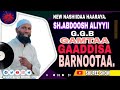 GAMTAA GAADDISA BARNOOTA New Nashiidaa Shekh Abdoosh Aliyyii By SHUREE SHOW 2026 Subscribe Like 