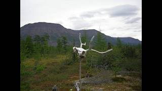 ARCTIC PLATEAU OF MYSTERIES, UFOS AND DANGERS: PARANORMAL RUSSIA