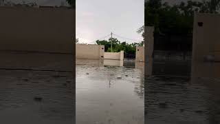 #love #travel #rain #rainsounds #weather #nature #punjabi