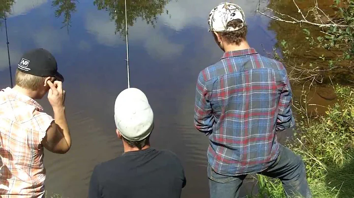 No Luck - Timmy "The King Fish Man" Cudmore