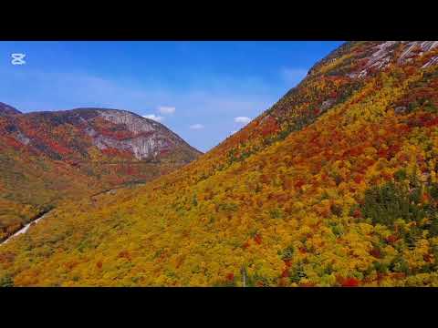 طال ليلي والليالي حملها فوق احتمالي 