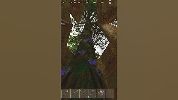 Is This the Most Unique Base in Rust?