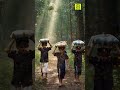 Karimala Kayattavum | കരിമല കയറ്റവും #ayyappadevotional #manialbumsong #kalabhavanmanisong #ayyappa