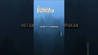 Hutang piutang #youtubeshorts #salafi #ustadzkhalidbasalamah