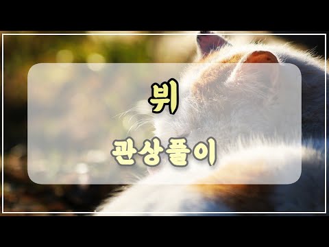 관상과학 방탄소년단 뷔 관상 「여성스러우면서 남성미가 강한 관상의 특징은?」