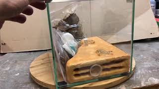 Fourmilière Client Pour Harpegnatos Venator