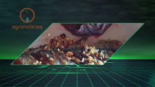 AGRONOTICIAS PROGRAM 457 HOLDERS