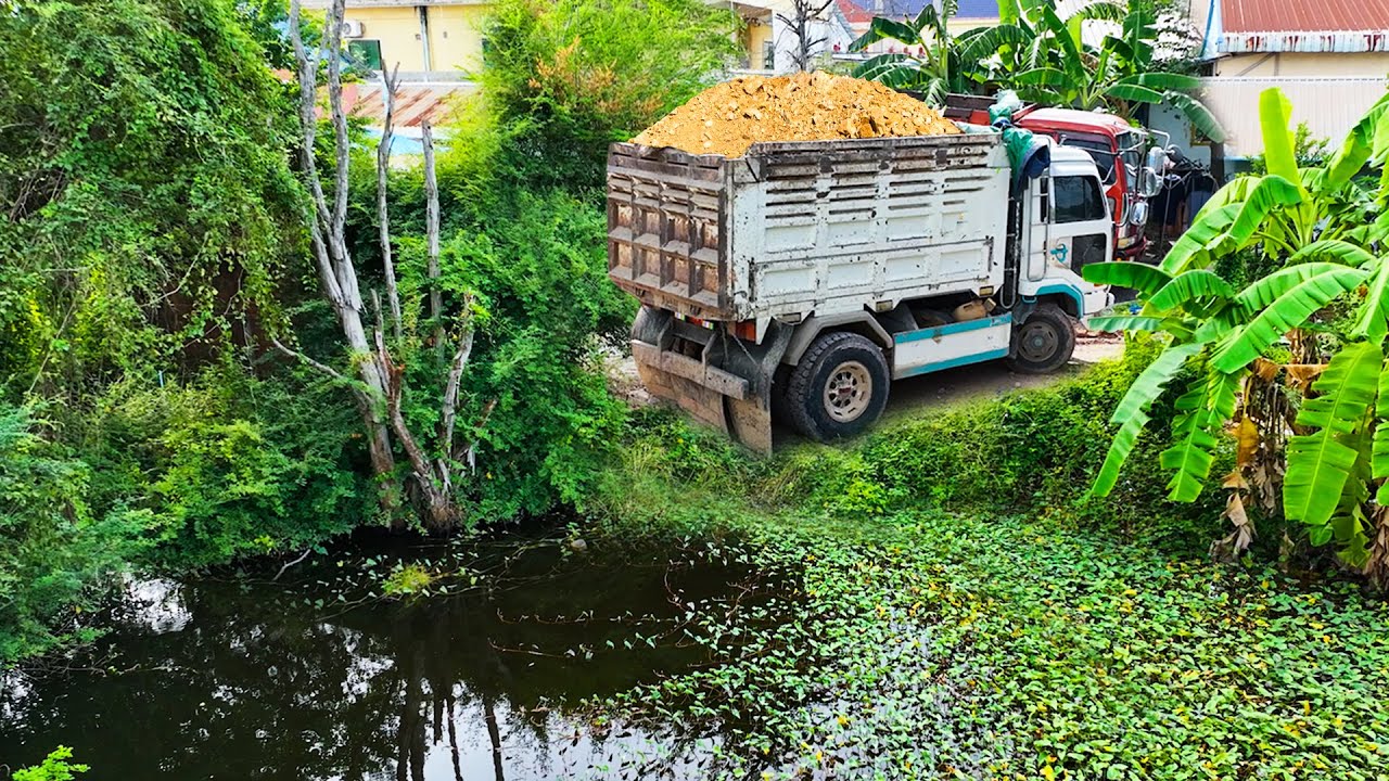 First Start Perfectly Project!! Landfill Delete Deep Pond By Dozer Pushing Soil With Dump Truck 5t