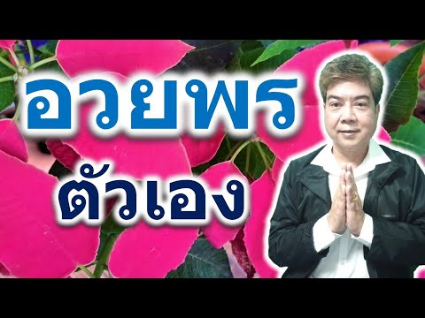 วีดีโอ: 6 อาหารวันหยุดที่ปลอดภัยที่จะแบ่งปันกับสุนัขของคุณ