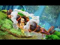 PS4《One Piece 海賊無雙 4》發售中文預告